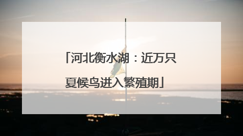 河北衡水湖：近万只夏候鸟进入繁殖期