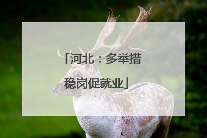 河北：多举措稳岗促就业