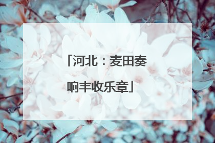 河北：麦田奏响丰收乐章