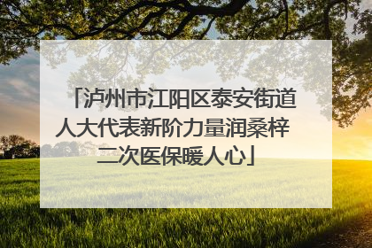 泸州市江阳区泰安街道人大代表新阶力量润桑梓 二次医保暖人心