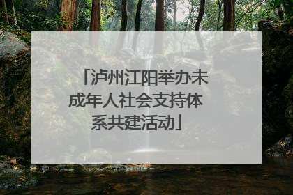 泸州江阳举办未成年人社会支持体系共建活动