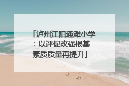泸州江阳通滩小学：以评促改强根基 素质质量再提升
