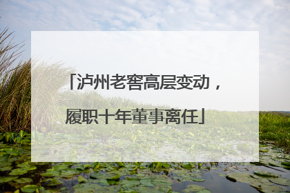 泸州老窖高层变动，履职十年董事离任