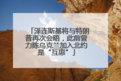 泽连斯基将与特朗普再次会晤，此前曾力陈乌克兰加入北约是“互惠”