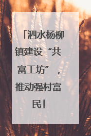泗水杨柳镇建设“共富工坊”，推动强村富民