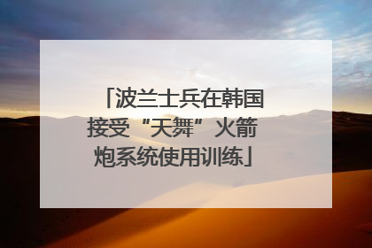 波兰士兵在韩国接受“天舞”火箭炮系统使用训练