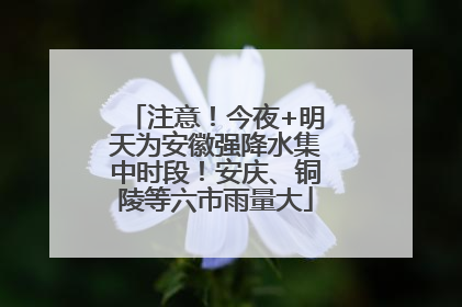 注意！今夜+明天为安徽强降水集中时段！安庆、铜陵等六市雨量大