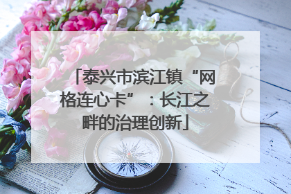 泰兴市滨江镇“网格连心卡”：长江之畔的治理创新