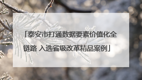 泰安市打通数据要素价值化全链路 入选省级改革精品案例
