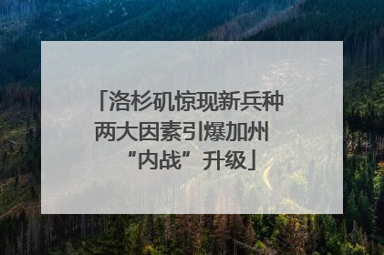 洛杉矶惊现新兵种 两大因素引爆加州“内战”升级