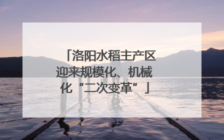 洛阳水稻主产区迎来规模化、机械化“二次变革”