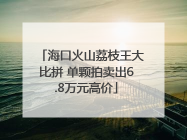 海口火山荔枝王大比拼 单颗拍卖出6.8万元高价