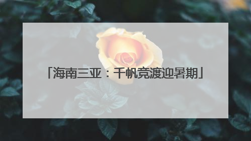 海南三亚：千帆竞渡迎暑期