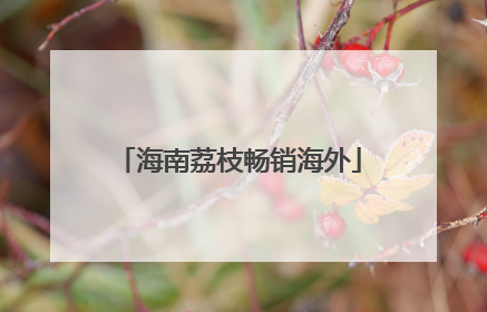 海南荔枝畅销海外