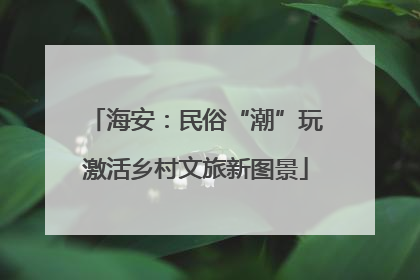 海安：民俗“潮”玩激活乡村文旅新图景