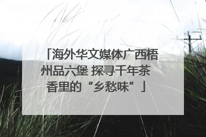 海外华文媒体广西梧州品六堡 探寻千年茶香里的“乡愁味”