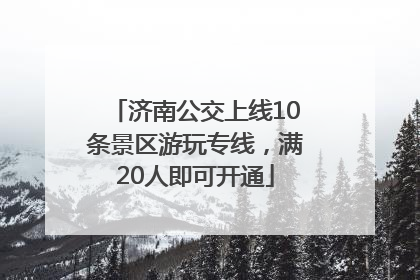 济南公交上线10条景区游玩专线，满20人即可开通