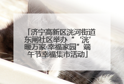 济宁高新区洸河街道东闸社区举办“‘洸’暖万家·幸福家园”端午节幸福集市活动