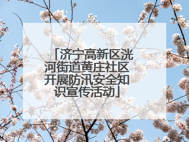 济宁高新区洸河街道黄庄社区开展防汛安全知识宣传活动