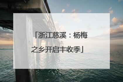 浙江慈溪：杨梅之乡开启丰收季