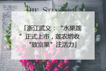 浙江武义：“水果莲”正式上市，莲农增收“致富果”注活力