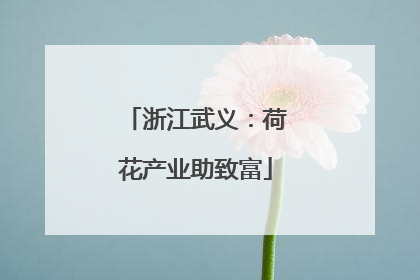 浙江武义：荷花产业助致富