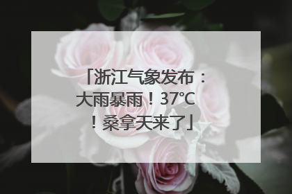 浙江气象发布：大雨暴雨！37℃！桑拿天来了