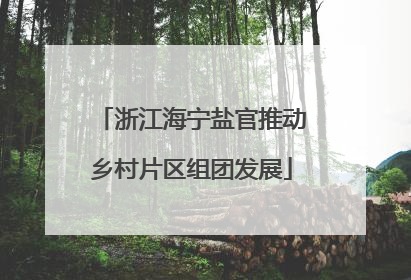 浙江海宁盐官推动乡村片区组团发展