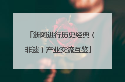 浙阿进行历史经典（非遗）产业交流互鉴