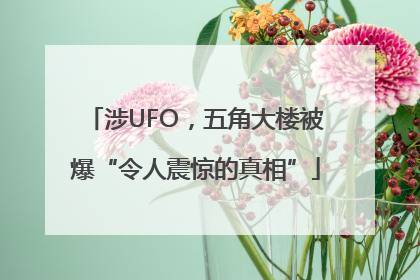 涉UFO，五角大楼被爆“令人震惊的真相”
