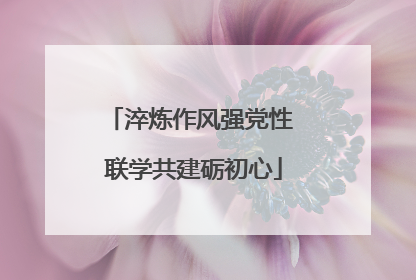 淬炼作风强党性 联学共建砺初心
