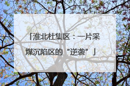 淮北杜集区：一片采煤沉陷区的“逆袭”