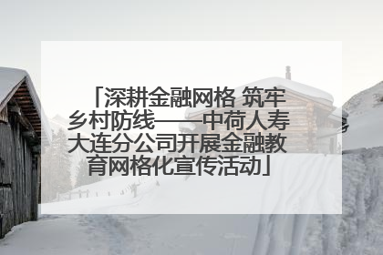 深耕金融网格 筑牢乡村防线——中荷人寿大连分公司开展金融教育网格化宣传活动