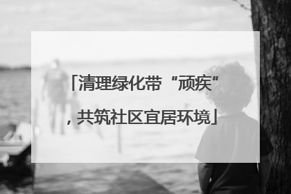 清理绿化带“顽疾”，共筑社区宜居环境