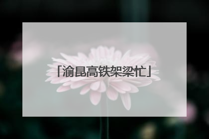 渝昆高铁架梁忙