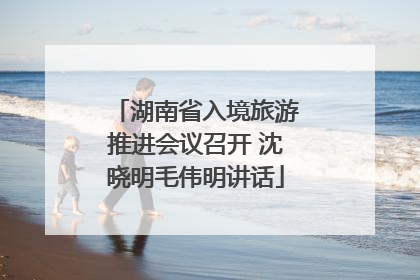 湖南省入境旅游推进会议召开 沈晓明毛伟明讲话