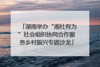 湖南举办“湘社有为”社会组织协同合作服务乡村振兴专题沙龙