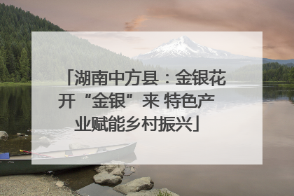 湖南中方县：金银花开“金银”来 特色产业赋能乡村振兴
