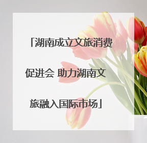 湖南成立文旅消费促进会 助力湖南文旅融入国际市场