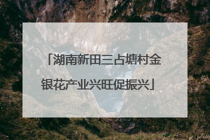 湖南新田三占塘村金银花产业兴旺促振兴