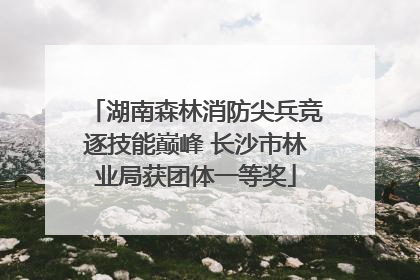 湖南森林消防尖兵竞逐技能巅峰 长沙市林业局获团体一等奖