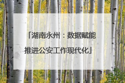 湖南永州：数据赋能推进公安工作现代化
