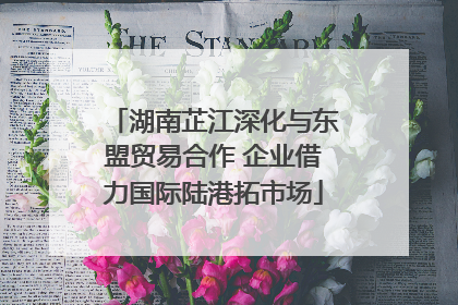 湖南芷江深化与东盟贸易合作 企业借力国际陆港拓市场