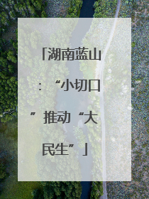 湖南蓝山：“小切口”推动“大民生”