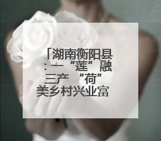 湖南衡阳县：一“莲”融三产 “荷”美乡村兴业富民