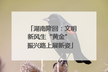 湖南隆回：文明新风生“黄金” 振兴路上展新姿