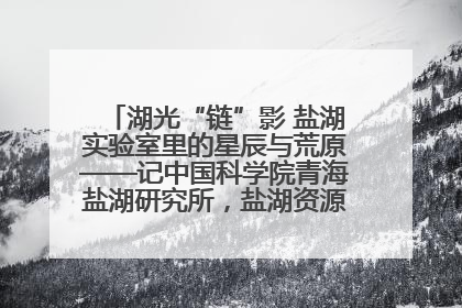 湖光“链”影 盐湖实验室里的星辰与荒原——记中国科学院青海盐湖研究所，盐湖资源化学实验室党总支书记、副主任刘忠