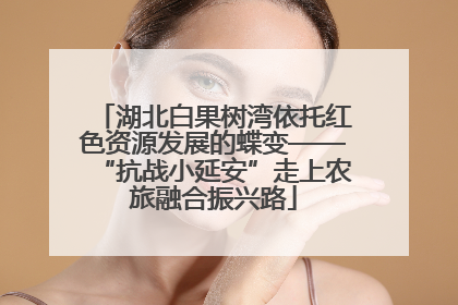 湖北白果树湾依托红色资源发展的蝶变——“抗战小延安”走上农旅融合振兴路