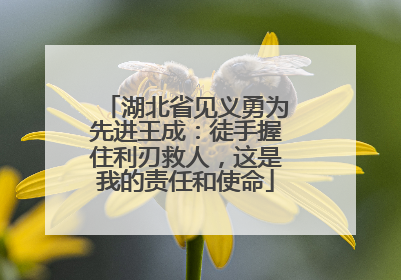 湖北省见义勇为先进王成：徒手握住利刃救人，这是我的责任和使命