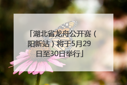 湖北省龙舟公开赛（阳新站）将于5月29日至30日举行
